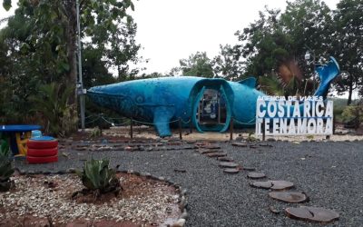 Ballena Nuevo Lugar.jpeg